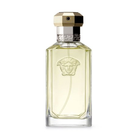  Versace the Dreamer 100ML tester 